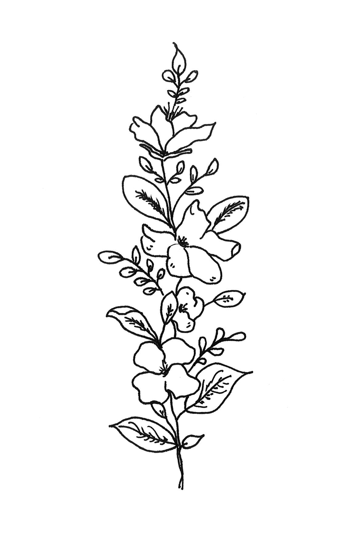 BL.0038-A