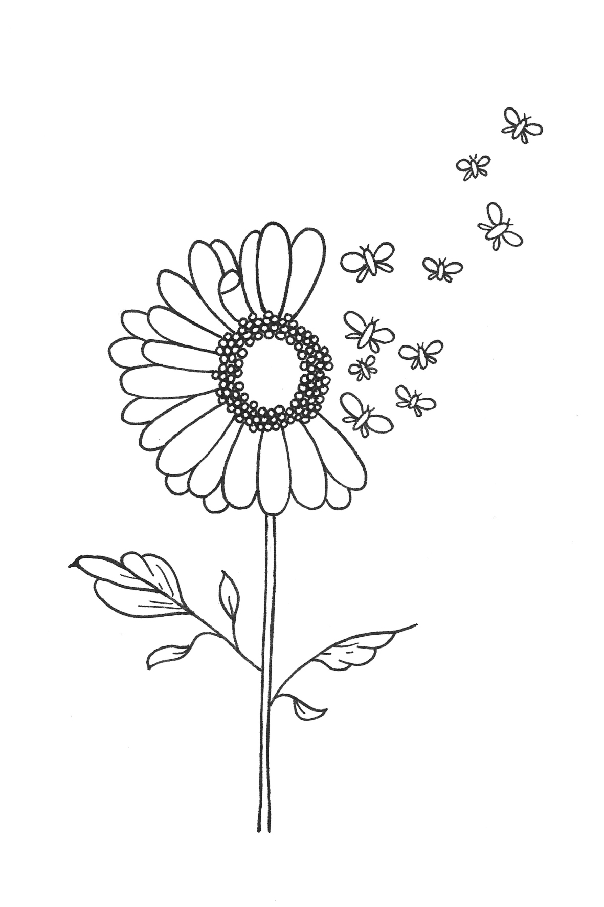 BL.0067-A