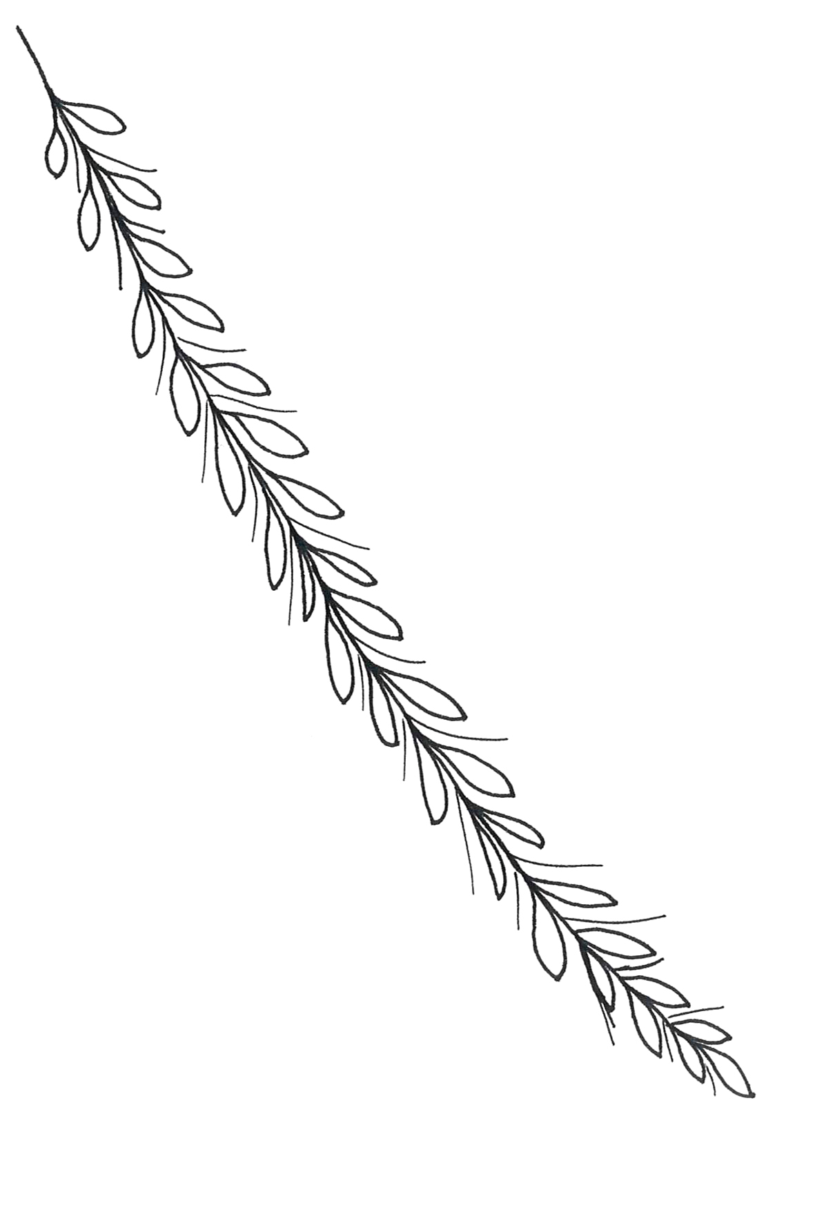BL_CD.0023-A