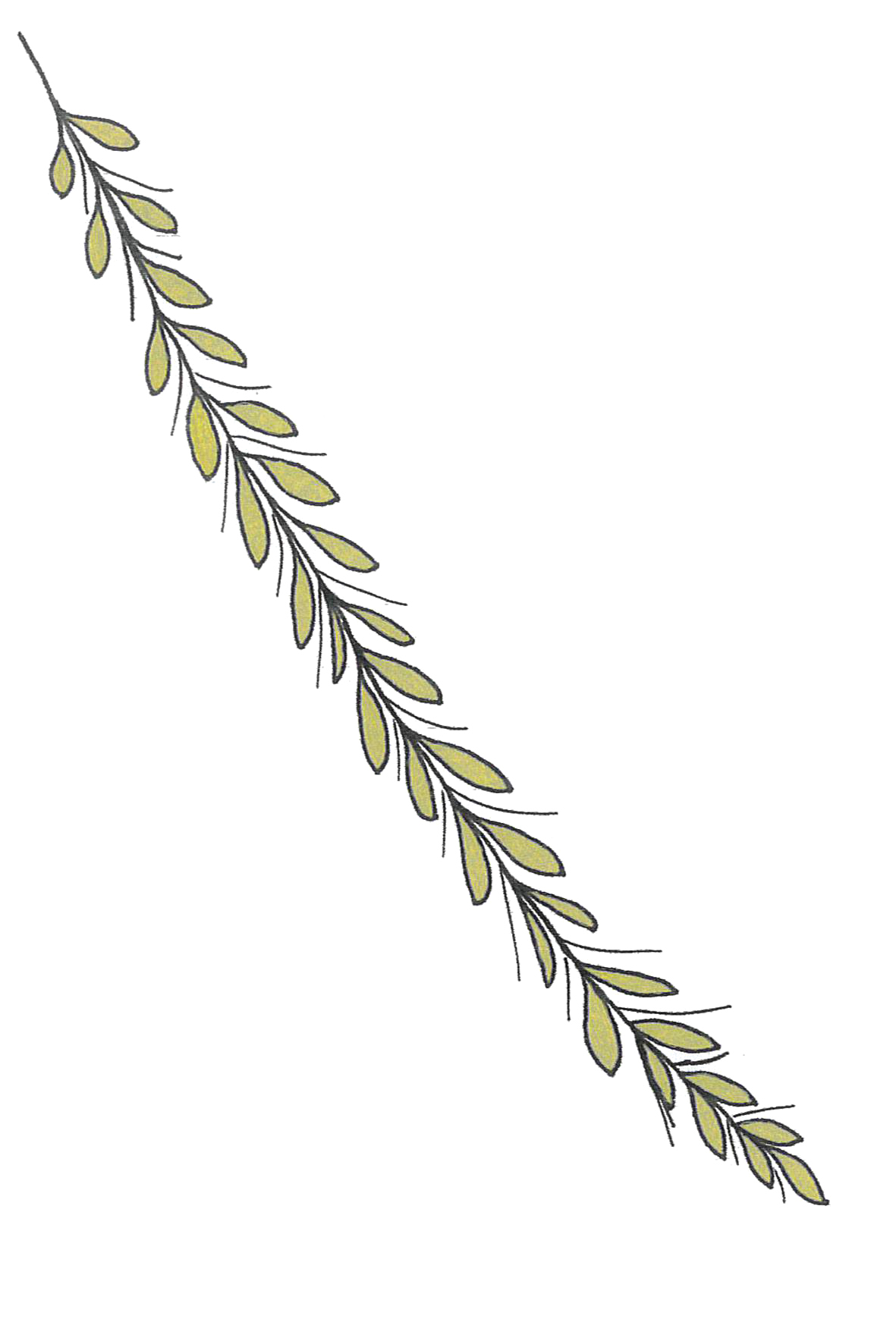 BL_CD.0023-B