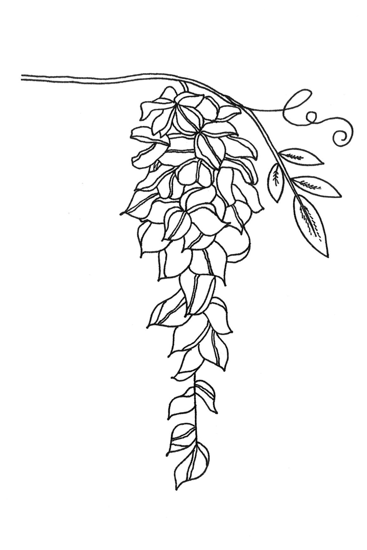 BL_CD.0036-A