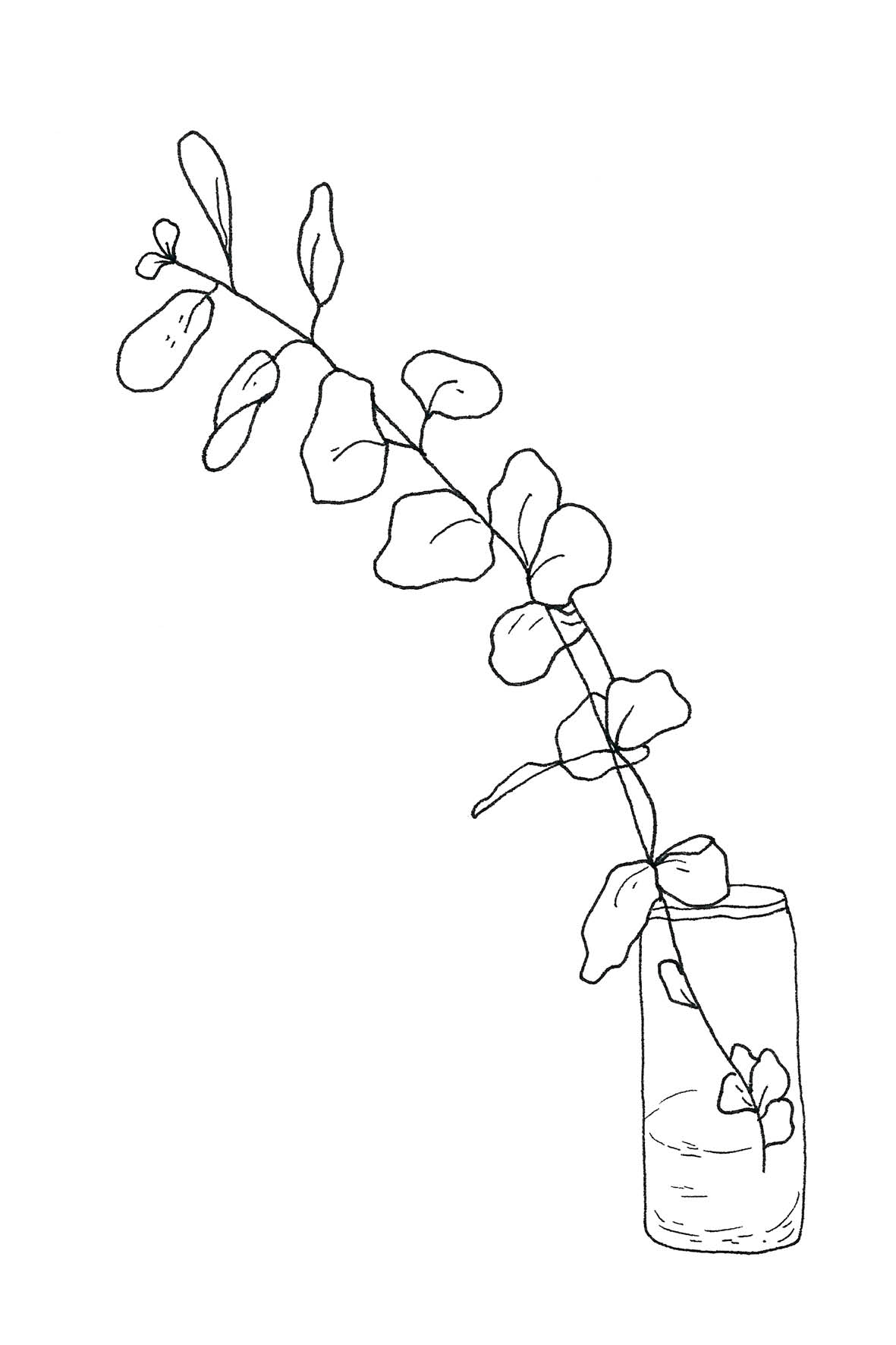 Eucalyptus tak in vaas