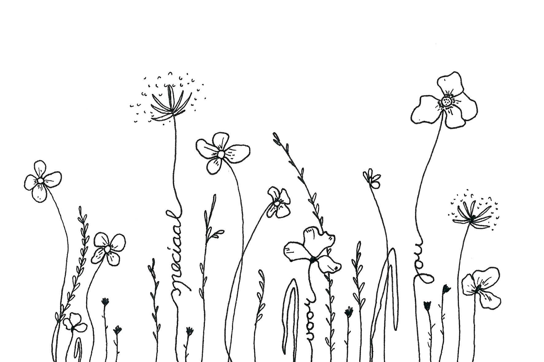 Veldbloemen