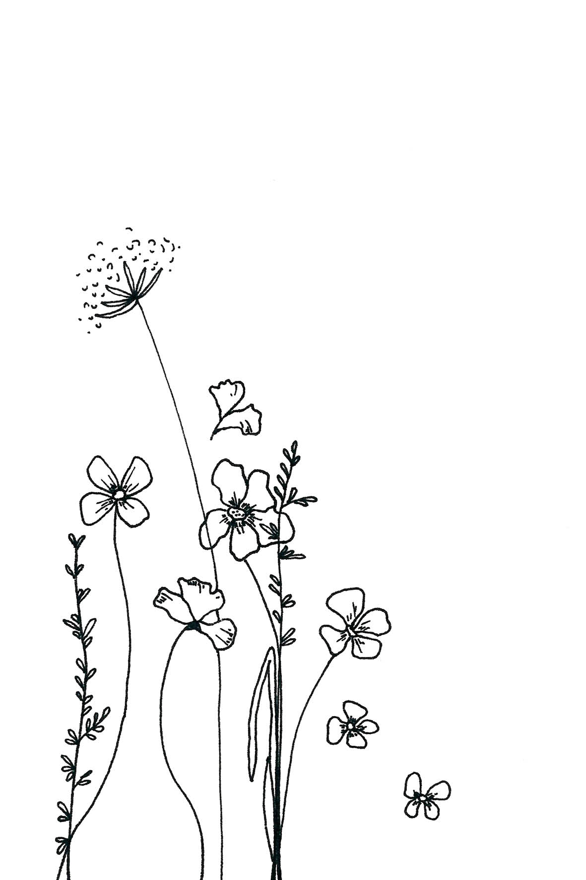 Veldbloemen klein